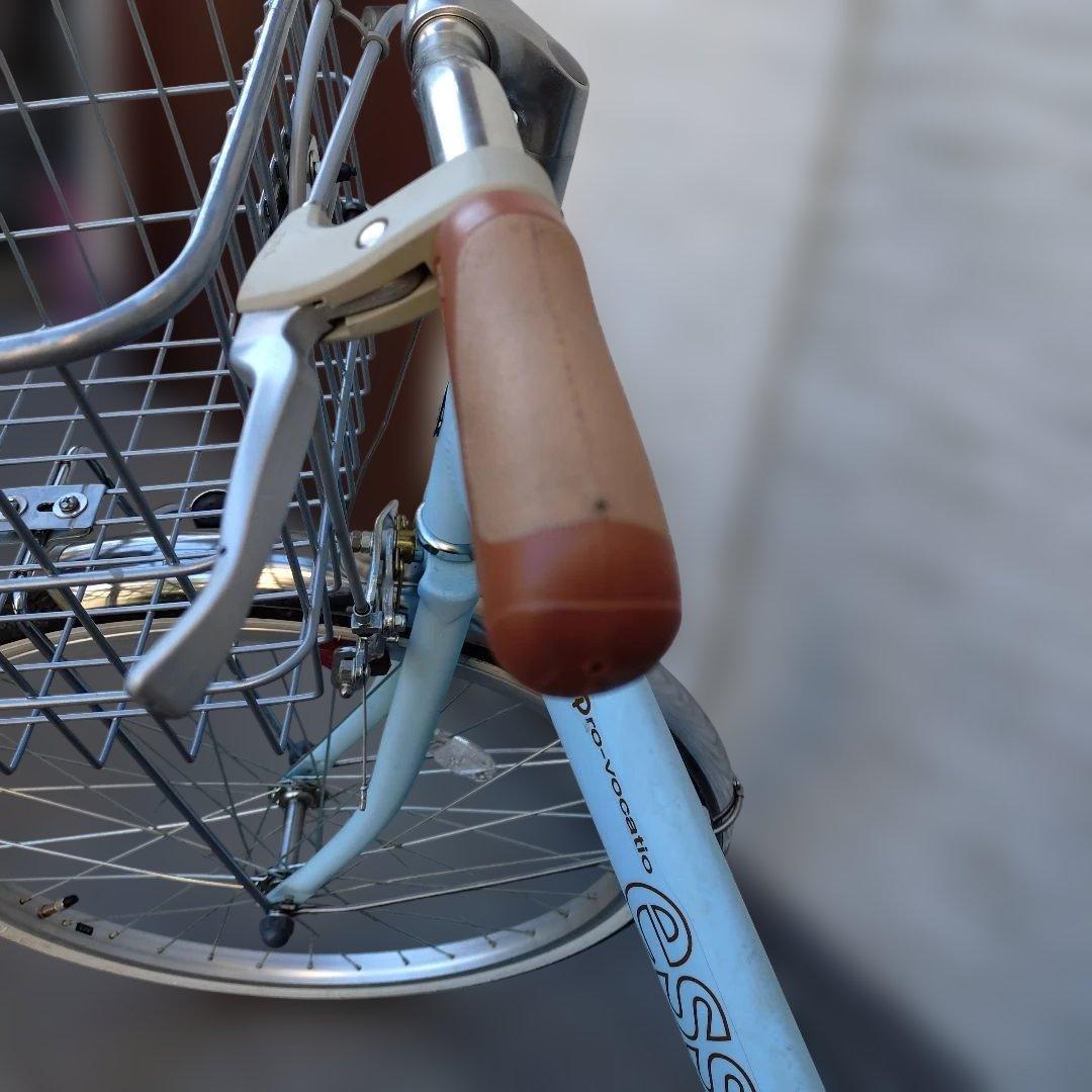 esse 子供用自転車 マカロンブルー 前カゴ付き　22インチ　BAA