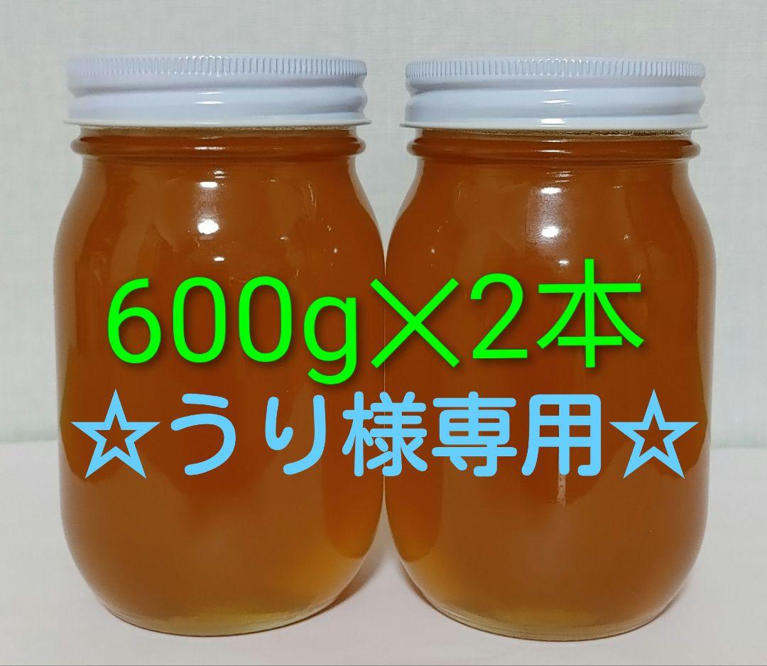 ☆ウリ☆600g×10本　日本蜜蜂の蜂蜜[地蜜(山蜜)]天然100%