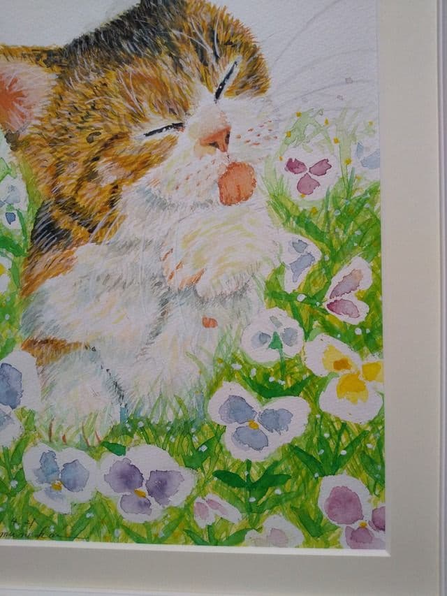 アサちゃんの毛づくろい