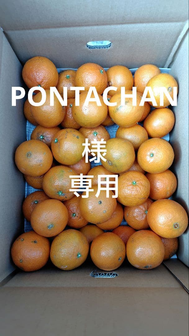 津之輝20㎏(家庭用)PONTACHAN#3
