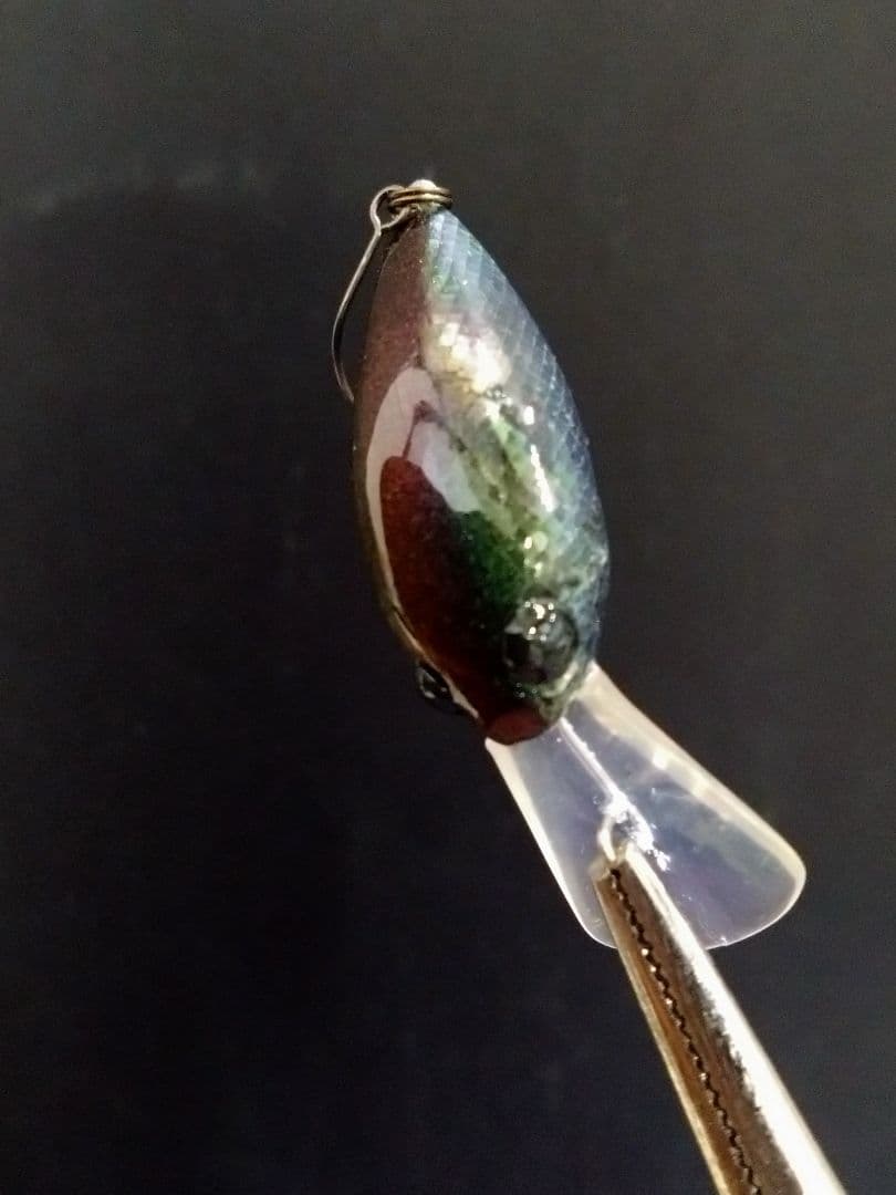 【黒夜光貝】ロデオクラフト / モカ DRF