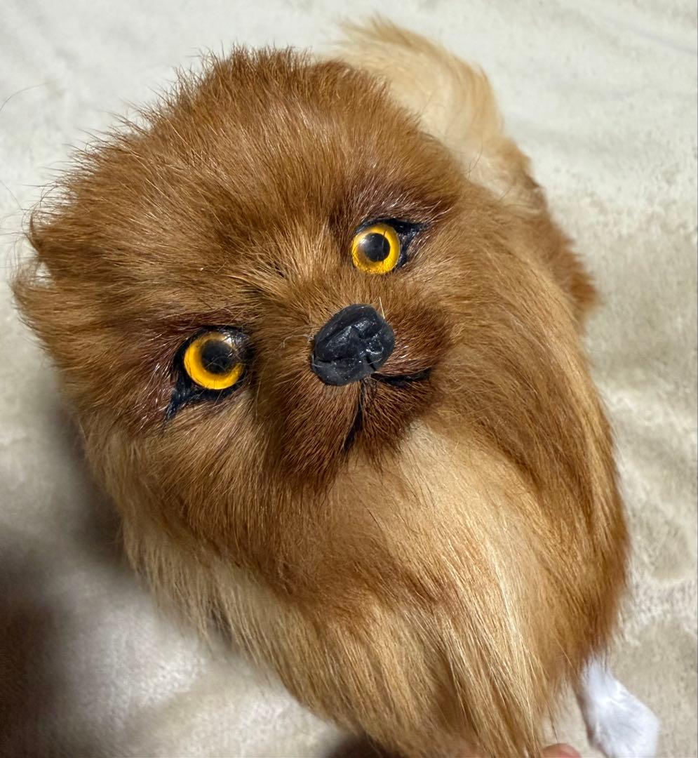 犬　ポメラニアン　リアル　置物