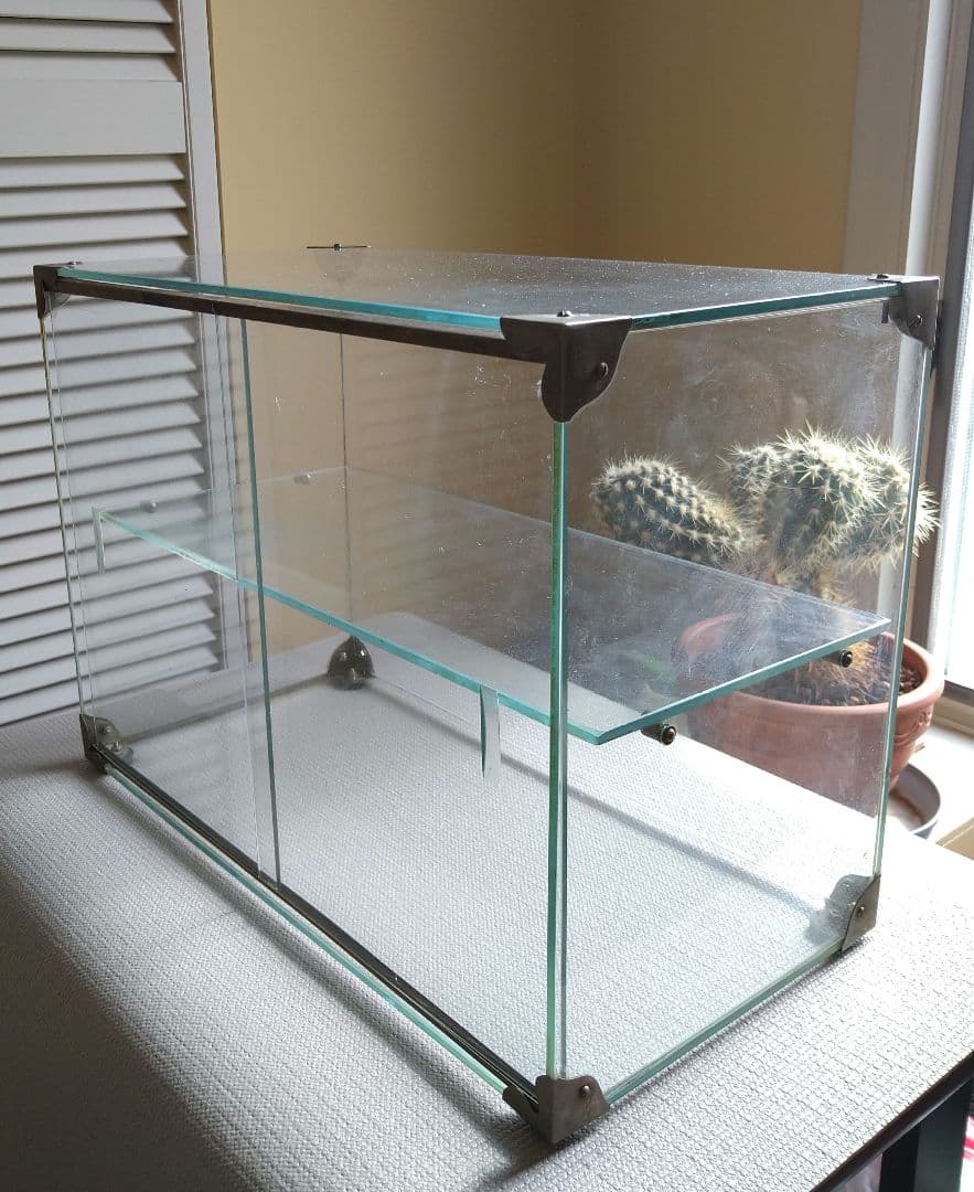 （ameo）古いガラスケース 小型 ショーケース 2段ラック 当時物