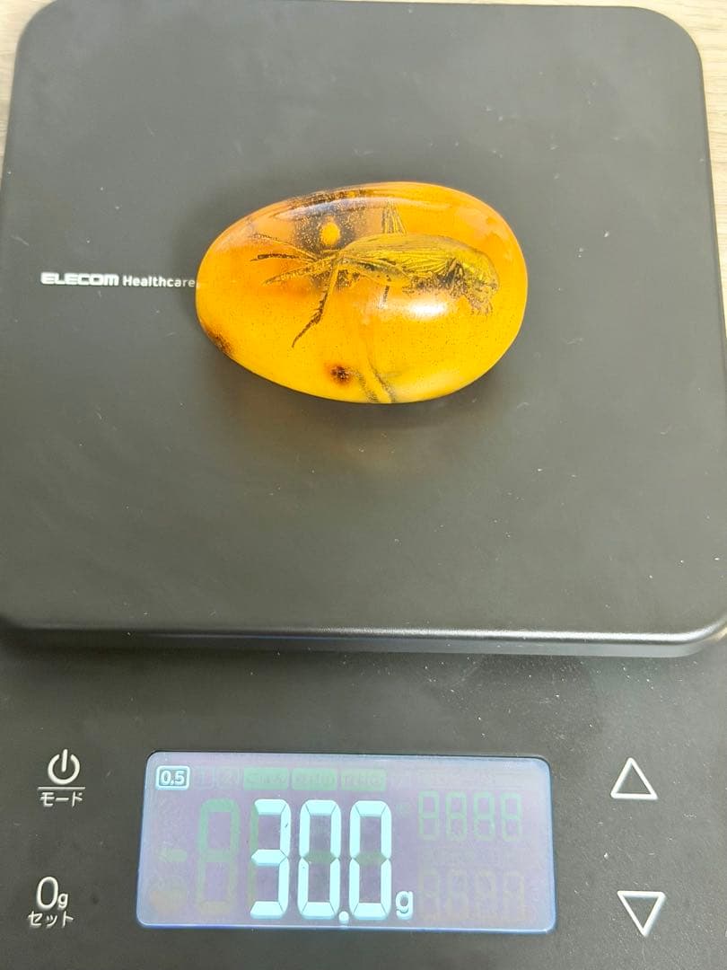 虫入り琥珀 天然アンバー 約30g 高透明 大型昆虫封入 標本