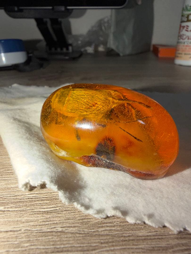 虫入り琥珀 天然アンバー 約30g 高透明 大型昆虫封入 標本