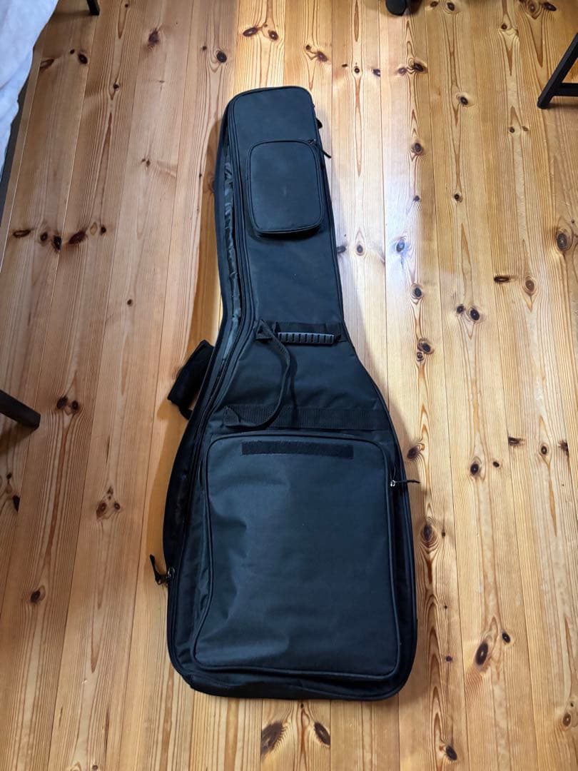 FUJIGEN NJB100RALV 5弦ベース