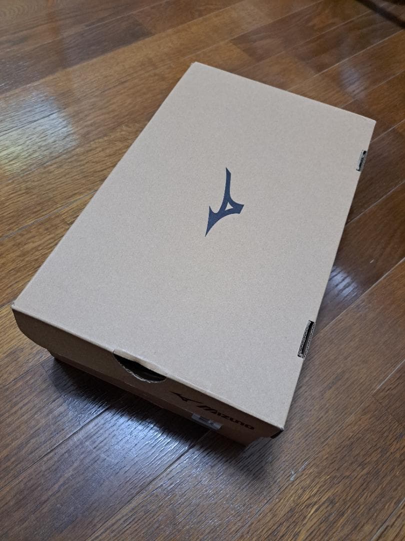 テニスシューズ　オムニクレー　ミズノ