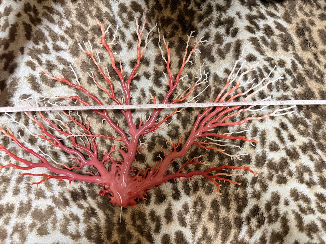 珊瑚　原木　置物