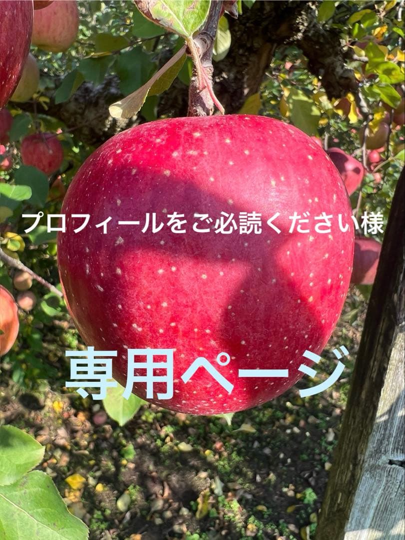 プロフィールをご必読ください　高徳りんご2K3箱