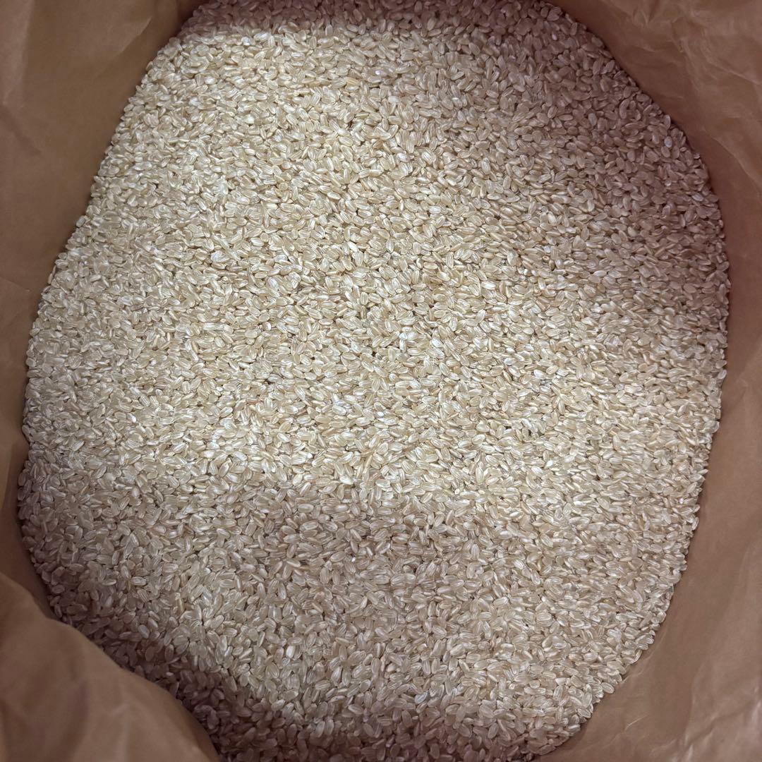 日本晴　自然栽培　玄米　30kg