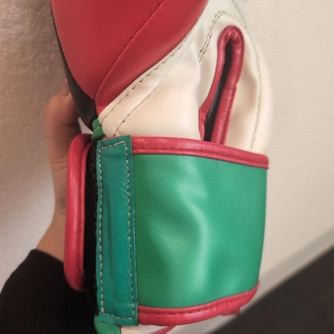 ISAMI シュートボクシング グローブ 16オンス