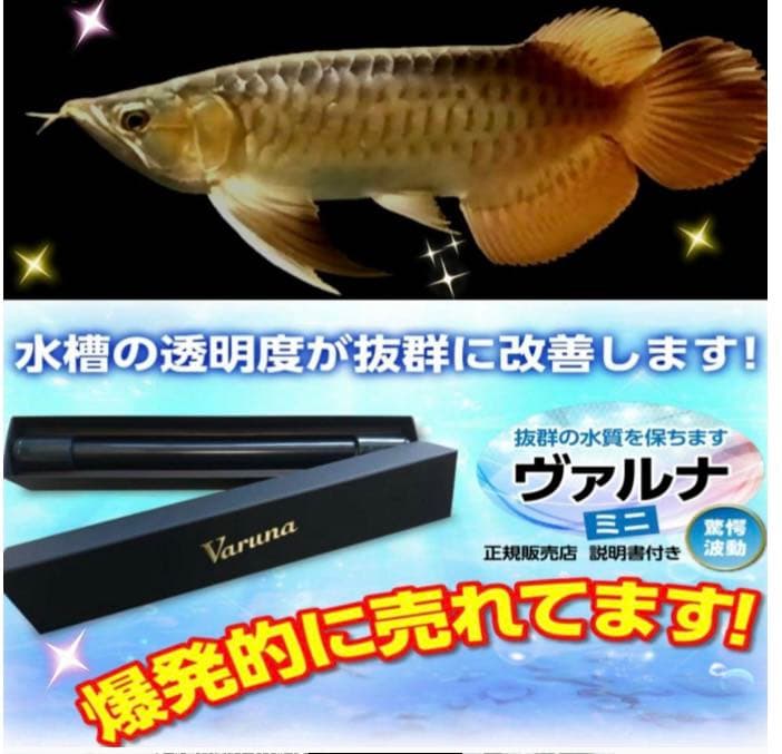 水槽の水が綺麗になります【ヴァルナミニ】有害物質を強力抑制し透明度が抜群に！