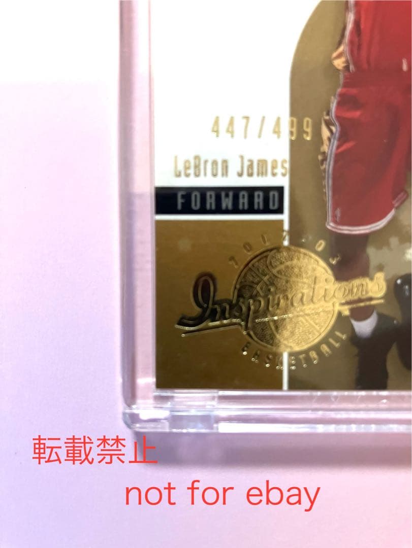 UD inspirations Lebron James RC 499枚限定