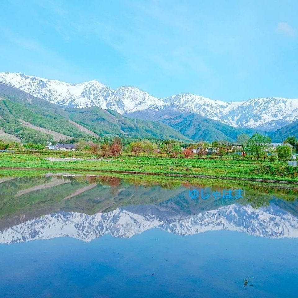 香茸 乾燥100g コウタケ 信州 国産　天然キノコ　フォローアドバイスつき