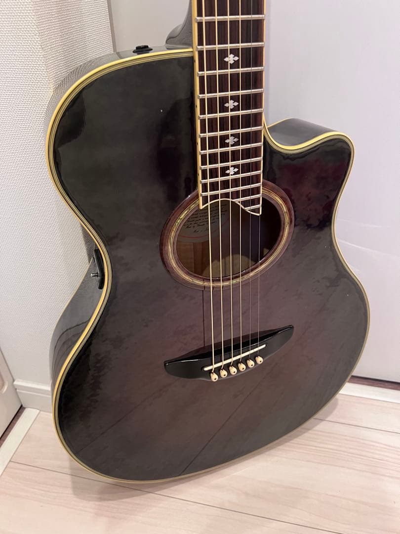 YAMAHA APX-10s BLB #002 日本製 ②