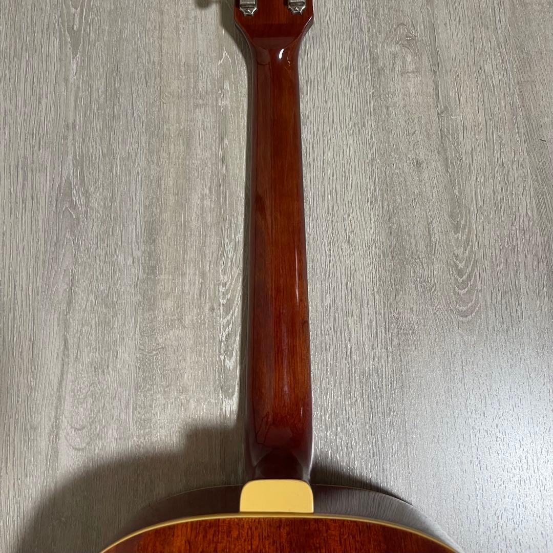 Stafford SLG360 BS アコースティックギター