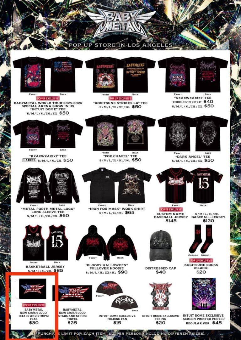 新品未開封 INTUIT DOME限定 FLAG フラッグ BABYL