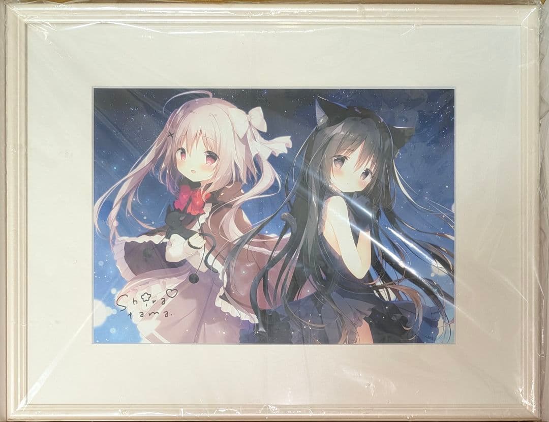 しらたまこしらたま FANBOX継続特典直筆サイン入り星空鉄道とシロの旅複製原画