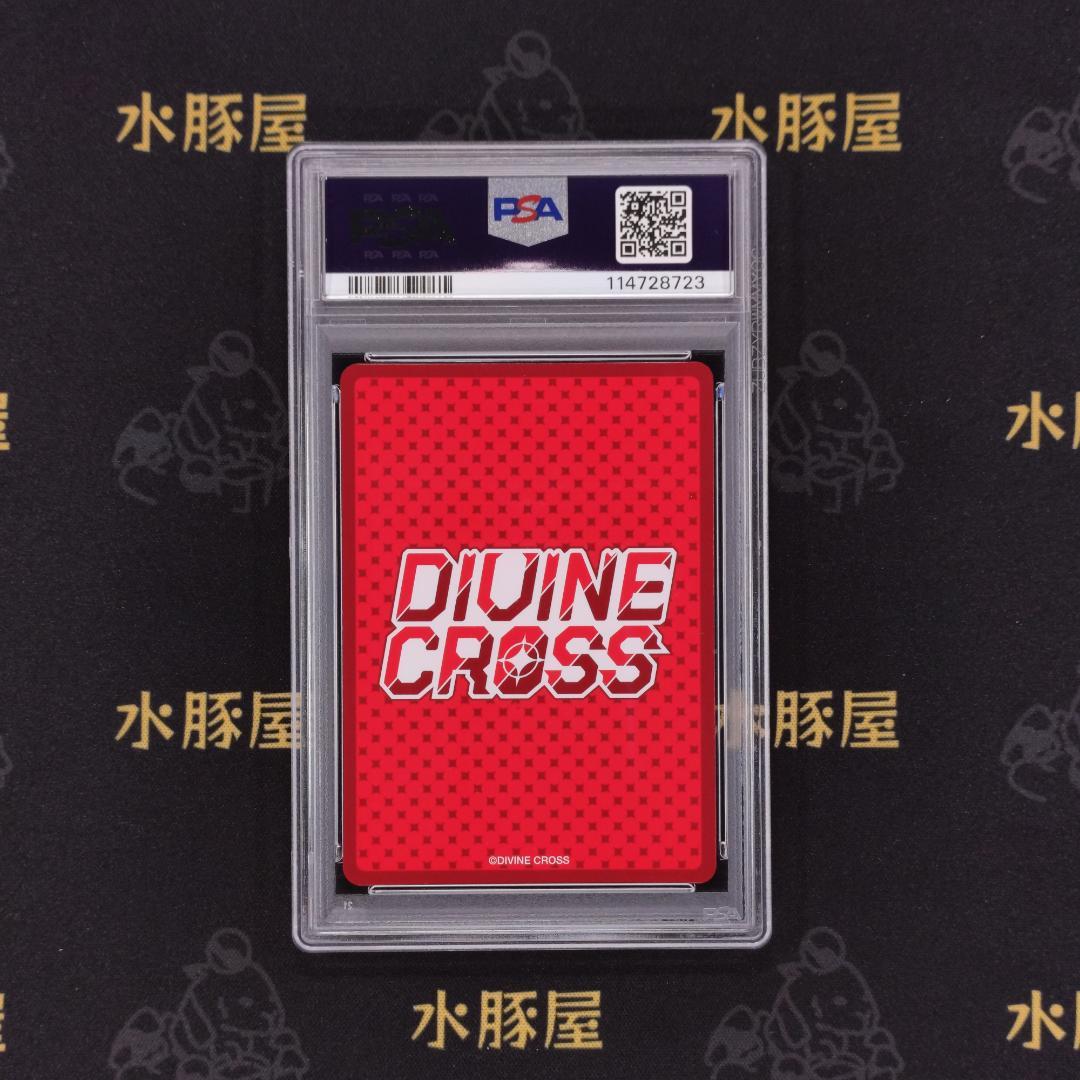 ディヴァインクロス　月に寄りそう乙女の作法シリーズ 2　主従関係 朝日とルナ