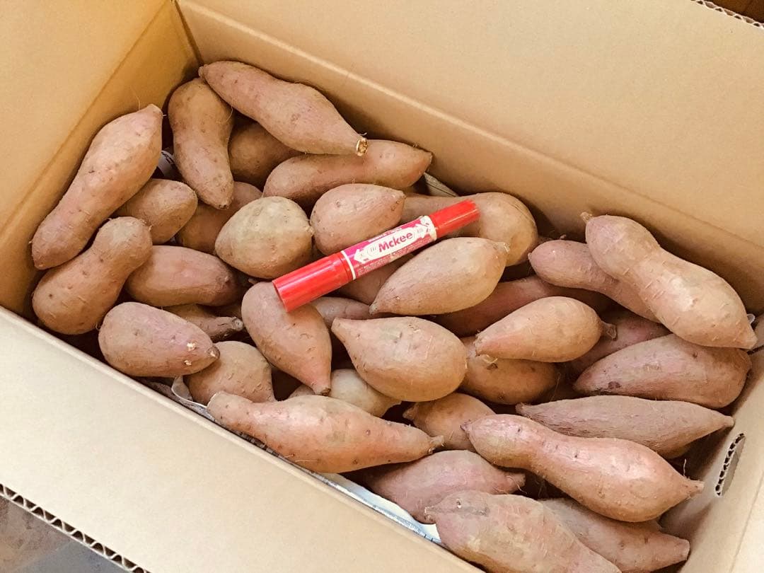 種子島産安納芋　Sサイズ20kg さつまいも安納芋　紅　#20