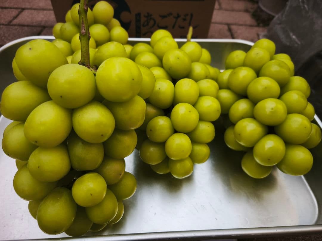 シャインマスカット 3kg