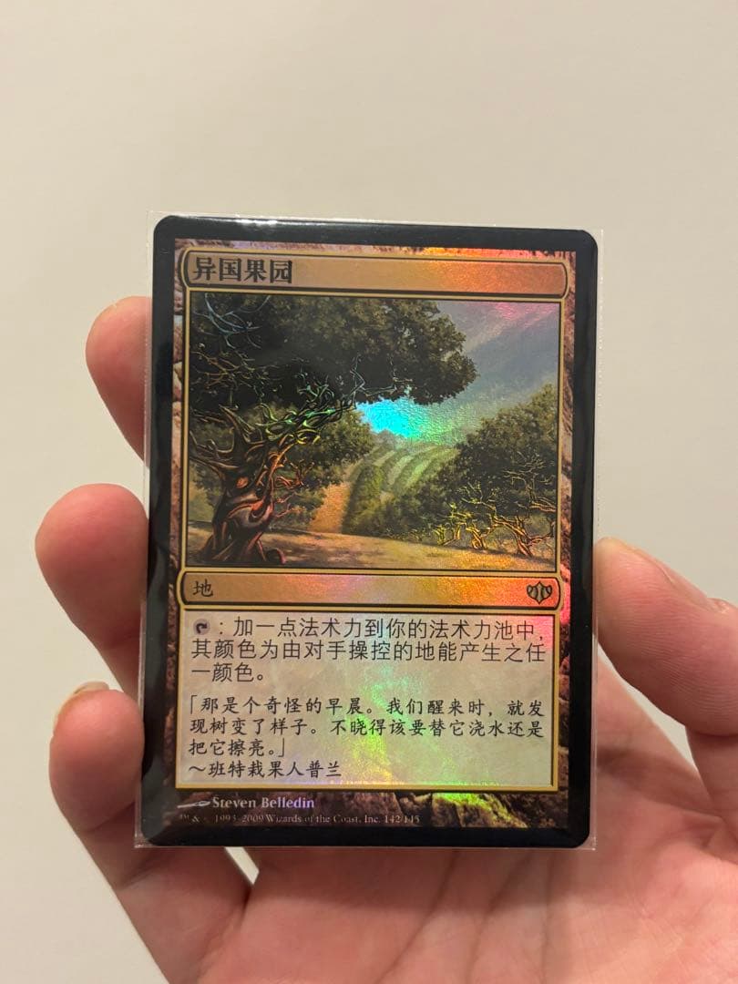 mtg 風変わりな果樹園 中国語　簡体字　foil 初版