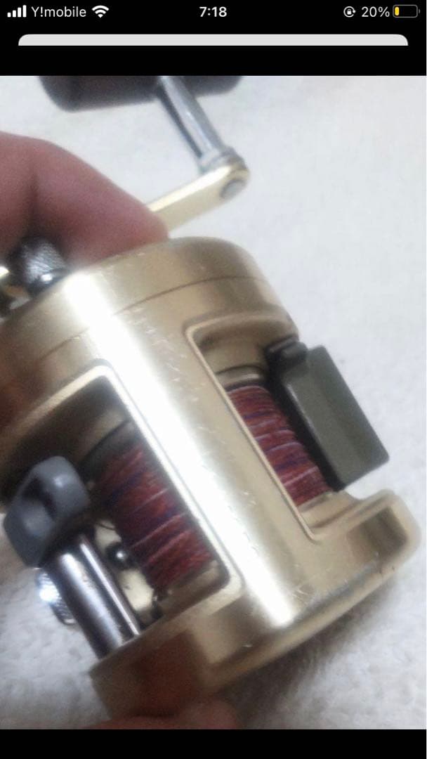 マリンゴールド