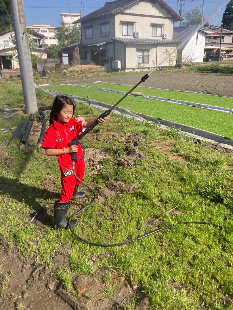 魚沼産コシヒカリ精米10㌔