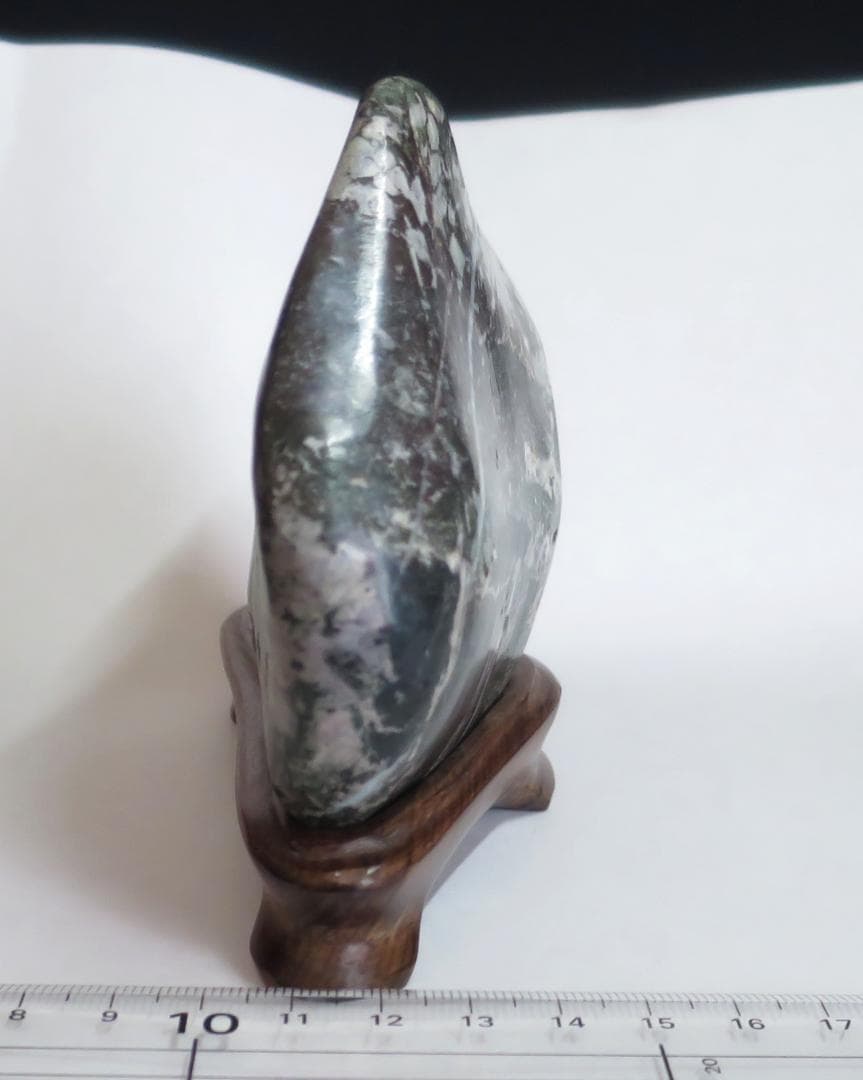 菊花石 　根尾菊花石 緑地に白花　鑑賞石　水石 盆栽