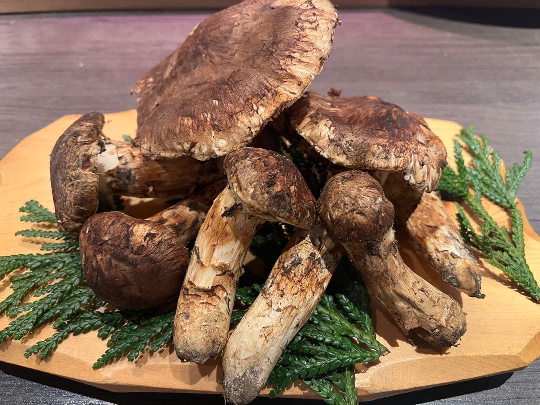 青森県下北産天然松茸280g