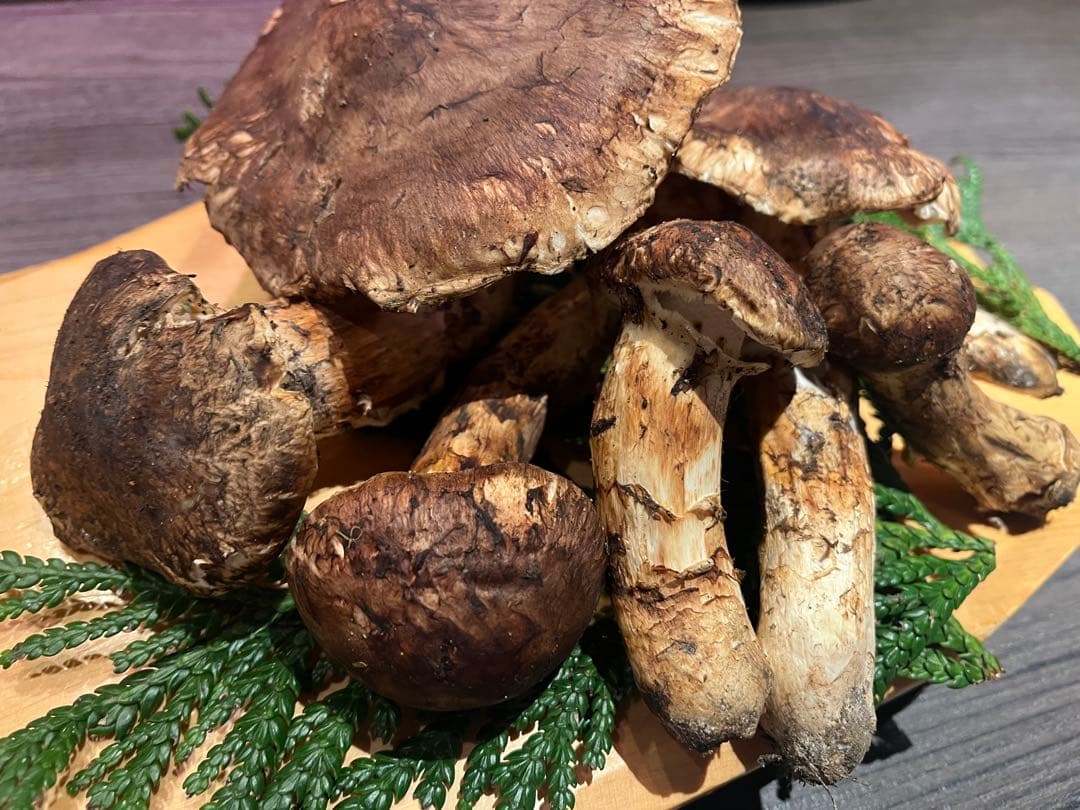 青森県下北産天然松茸280g