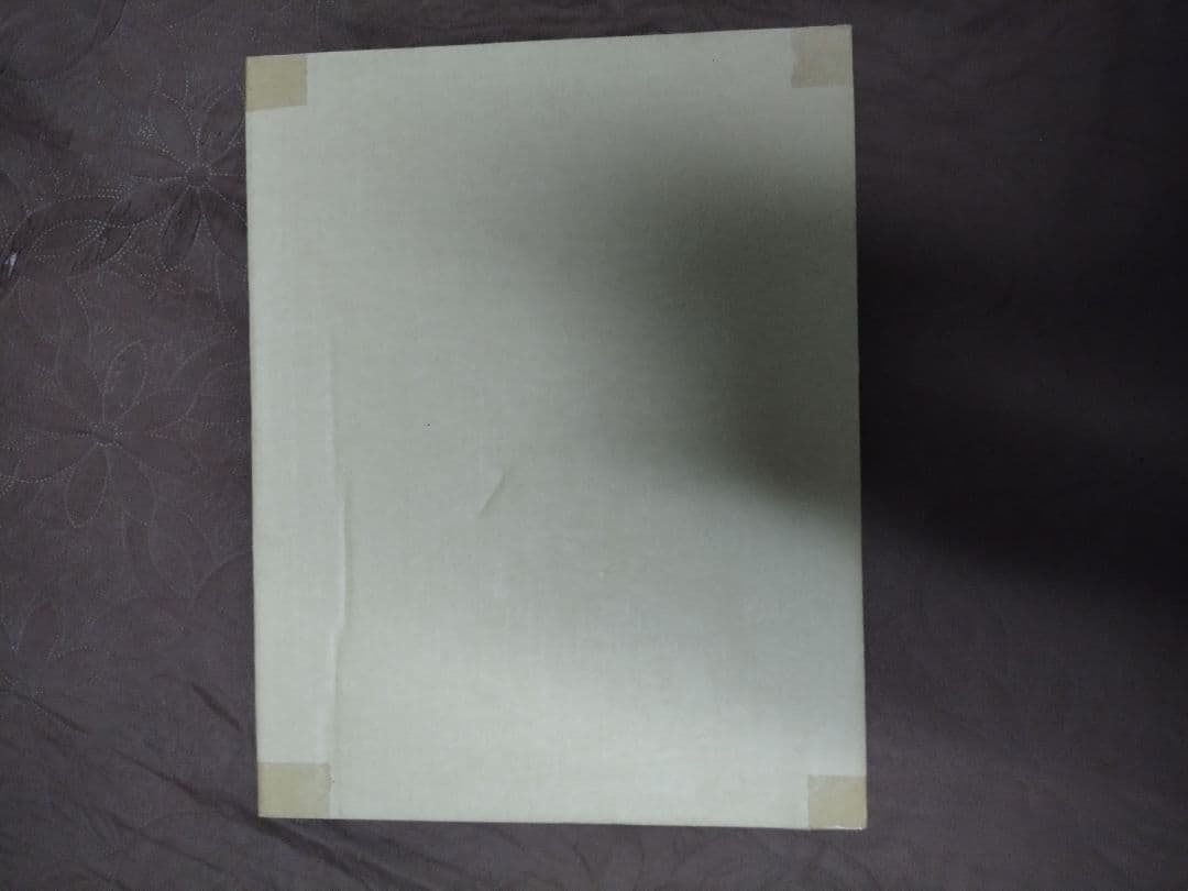 CSM ディケイドライバーVer2.0 ケータッチ