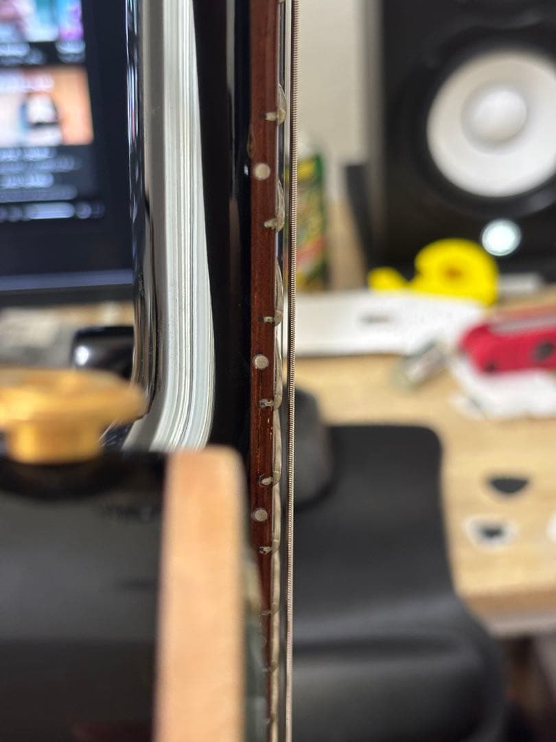 と*も様 PRS Brazilian Limited Custome 24 10