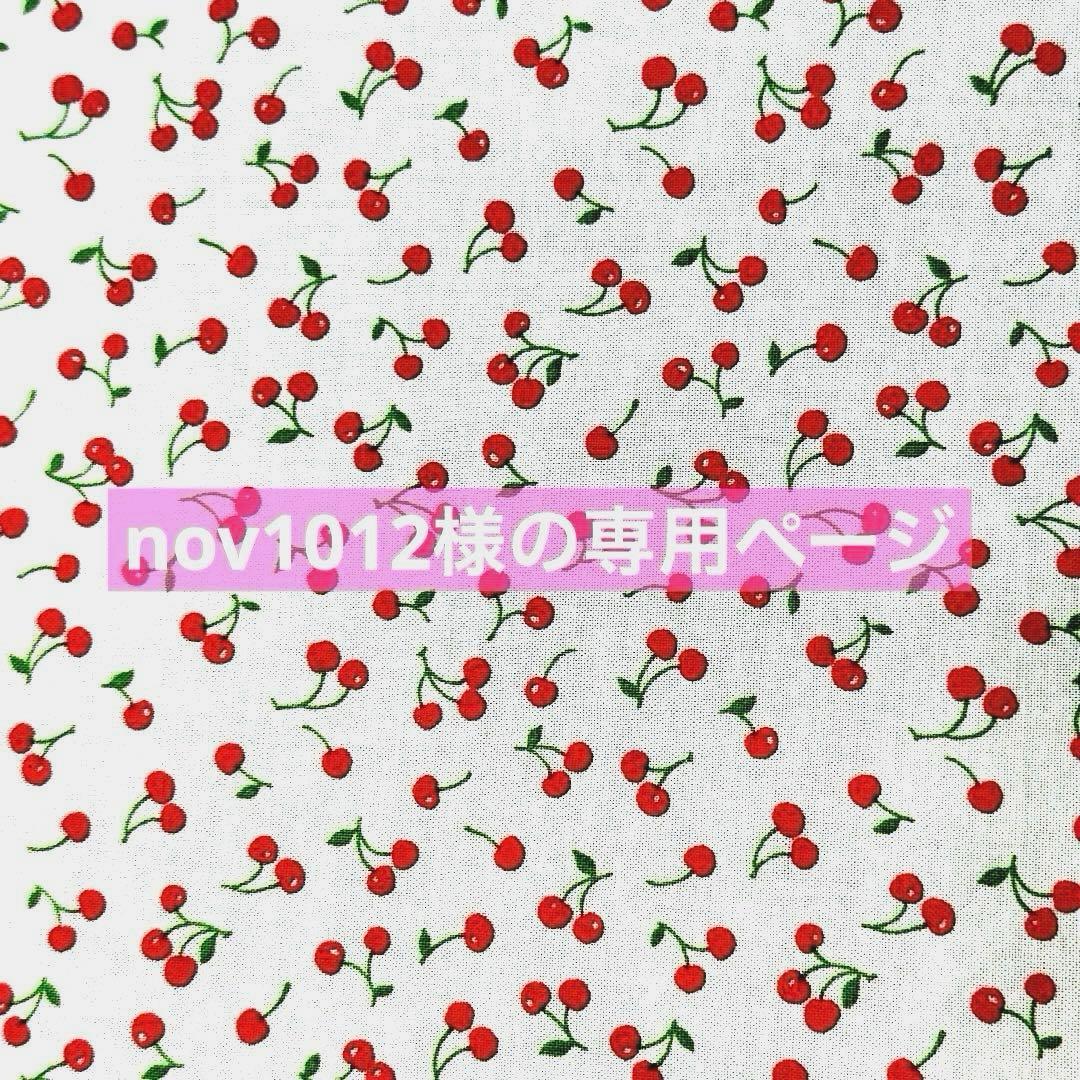 nov1012様の専用ページ　小型犬　犬服