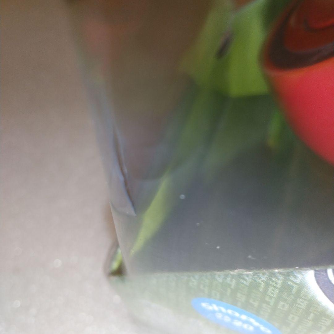 ポケモンアドベンチャー ポケモンウォッチ ピンク ダイヤモンド&パール