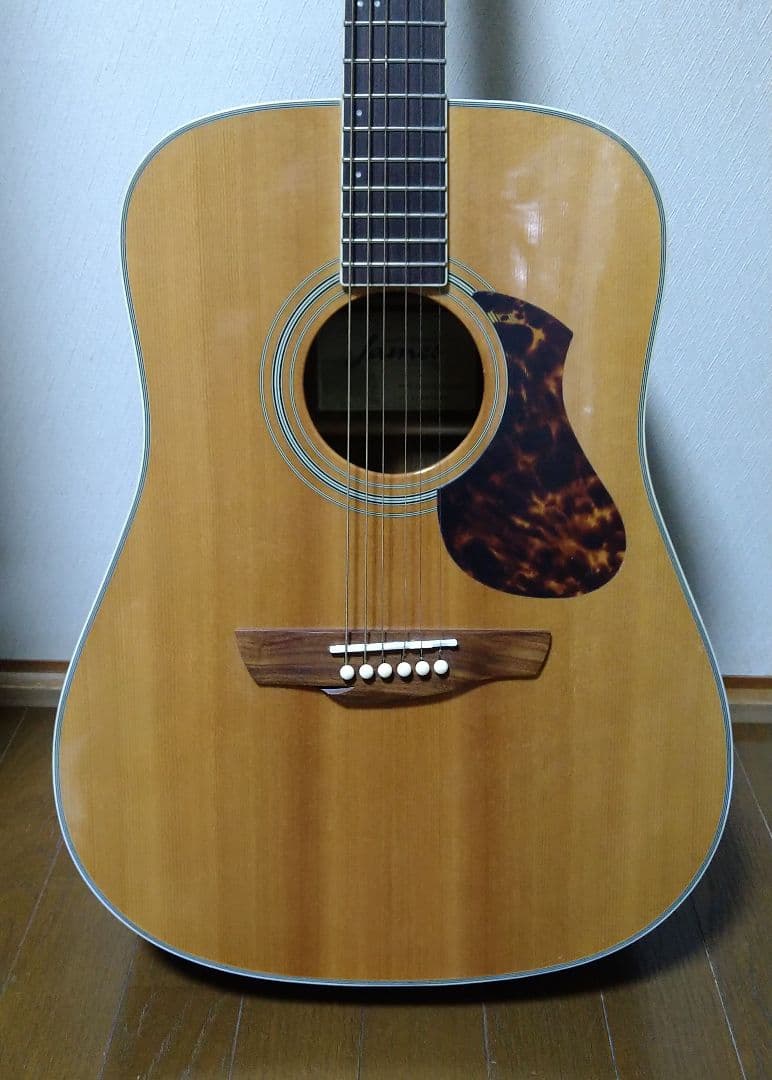 James J-500D サイド・バック トラ杢