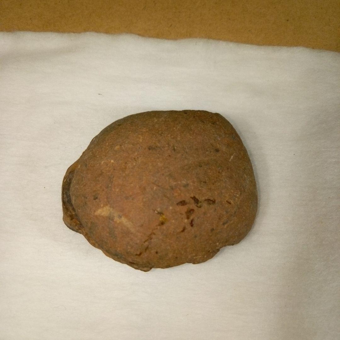 三葉虫　化石　三葉虫化石　究極のレトロ　fossil　ボリビア産　化石管理番号⑤