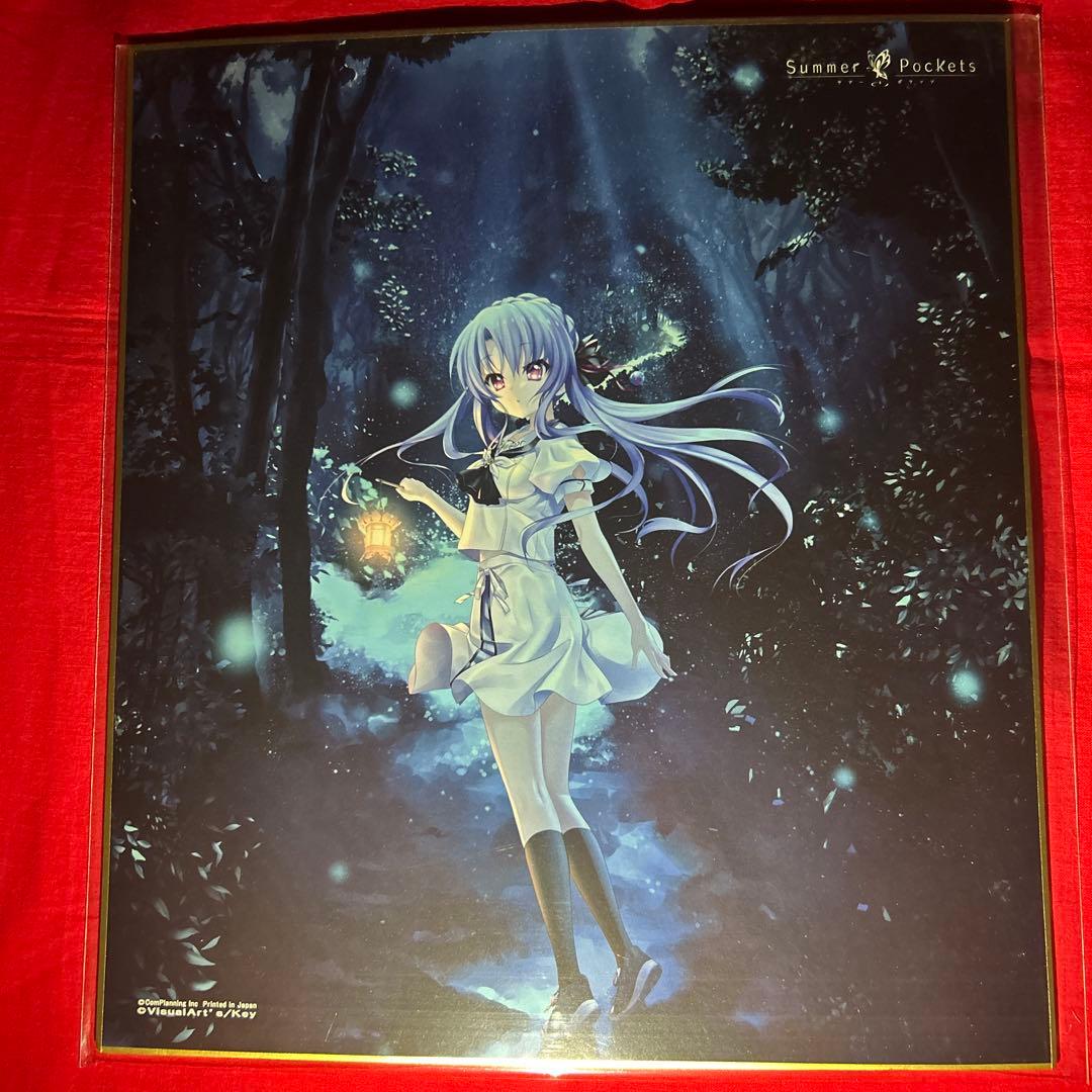 サマーポケッツ　しろは　蒼　鴎　紬　色紙　サマポケ