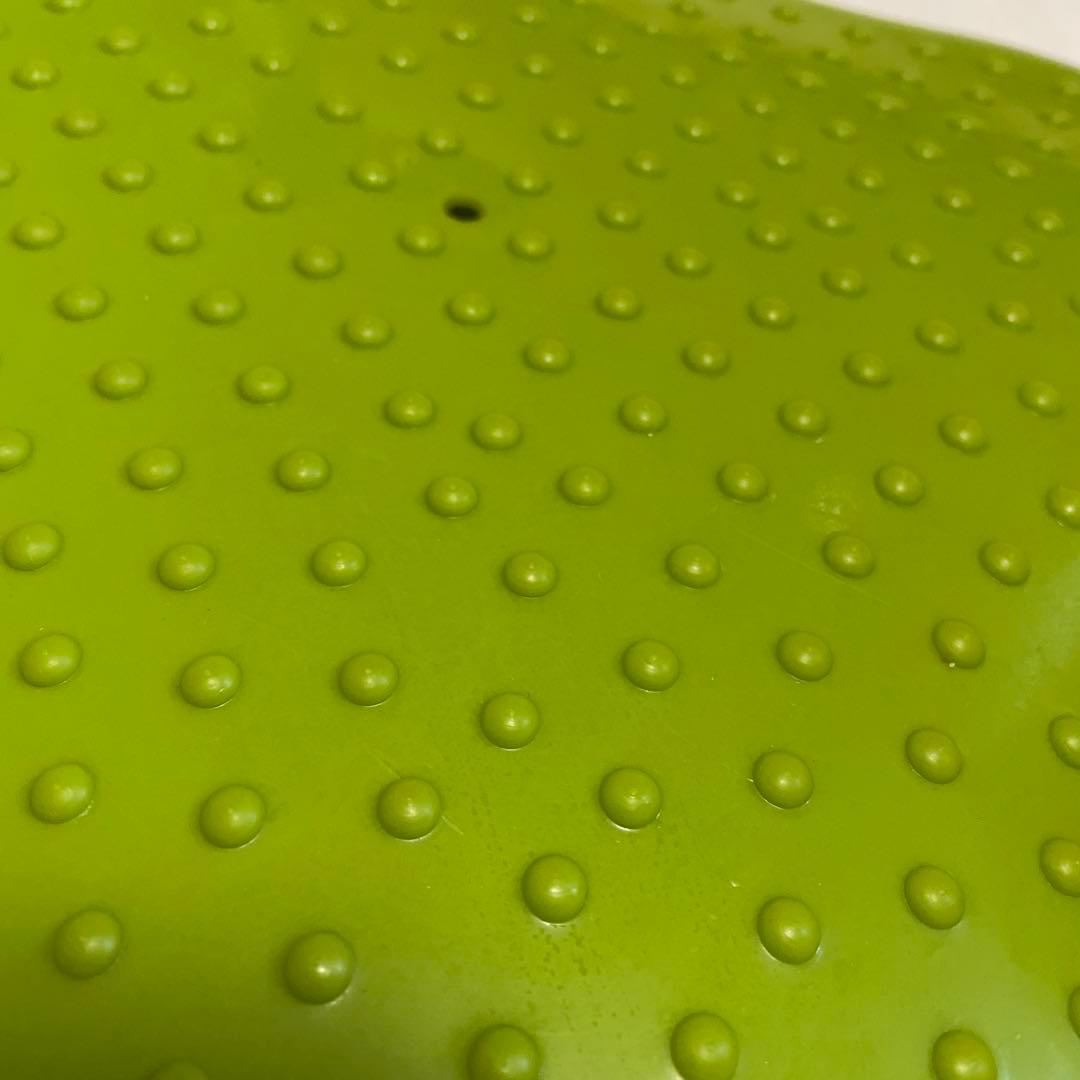 K9 FITbone CanineGym® 犬用 バランスボール　トレーニング