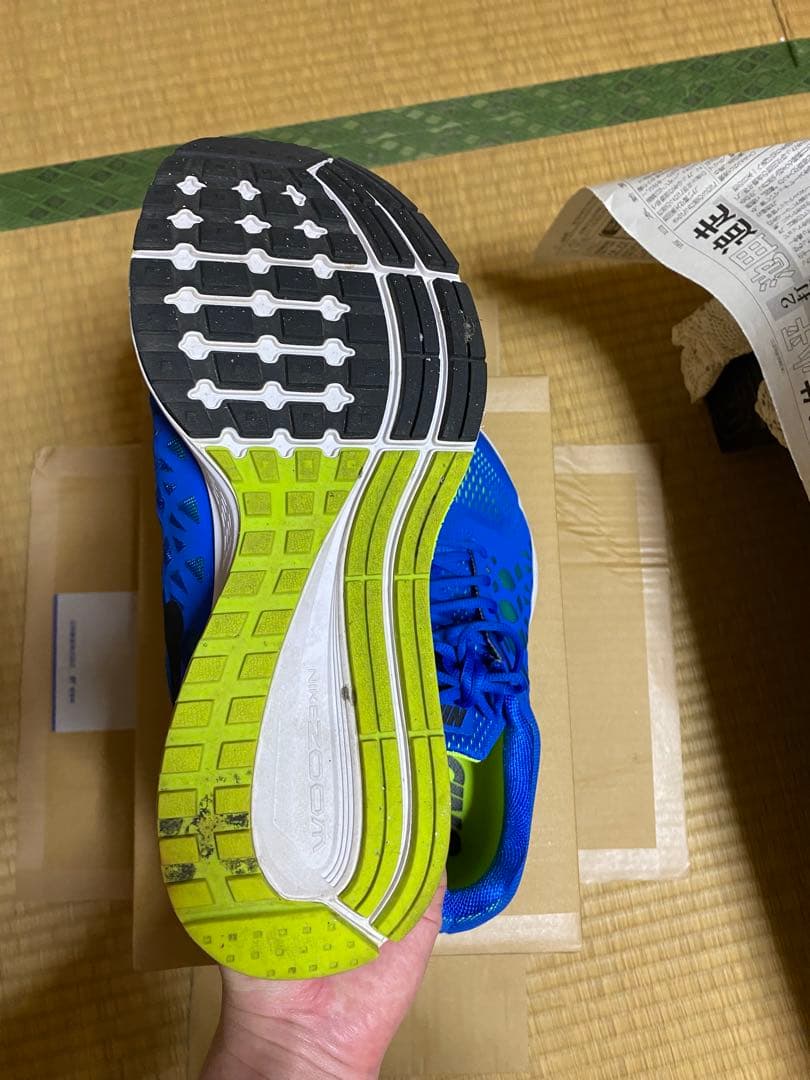 ナイキ　エアズームペガサス31 ブルー