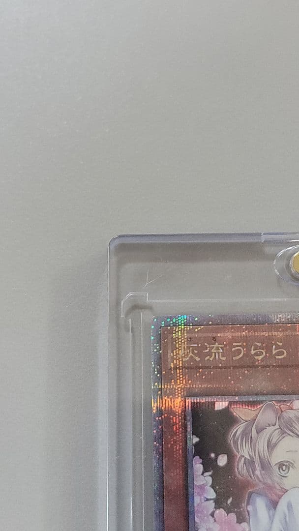 遊戯王OCG 灰流うらら