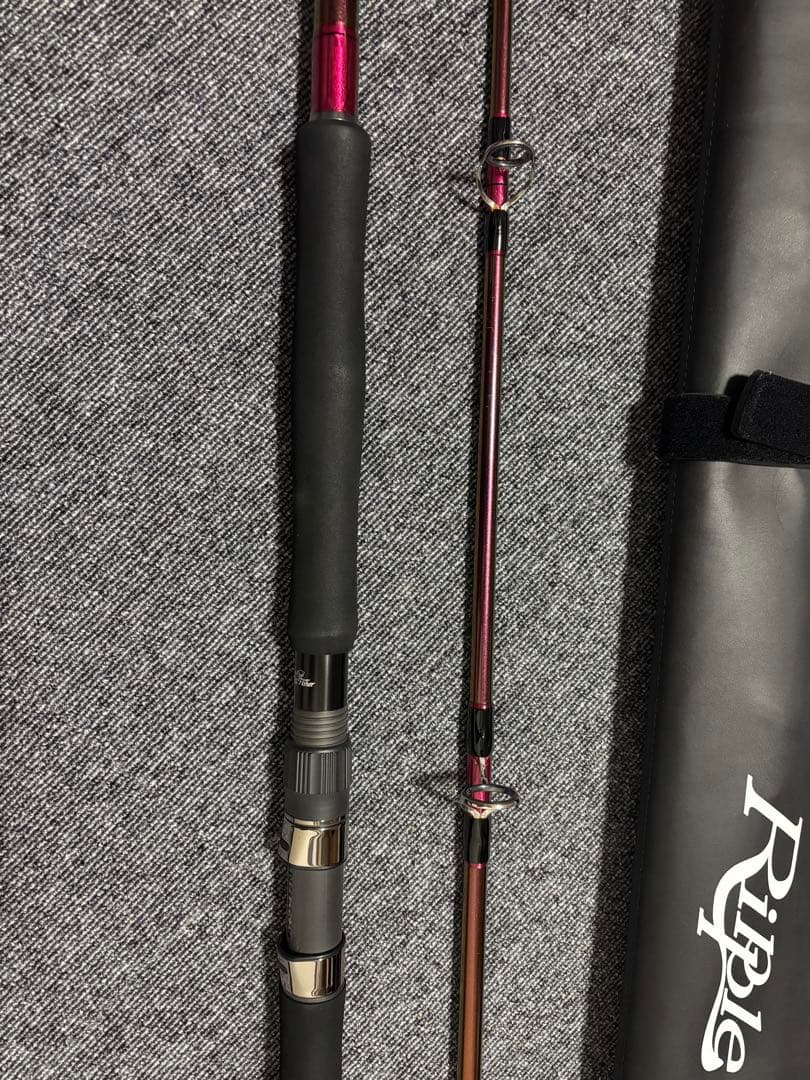 Runner Exceed 100SXH マジョーラカラー