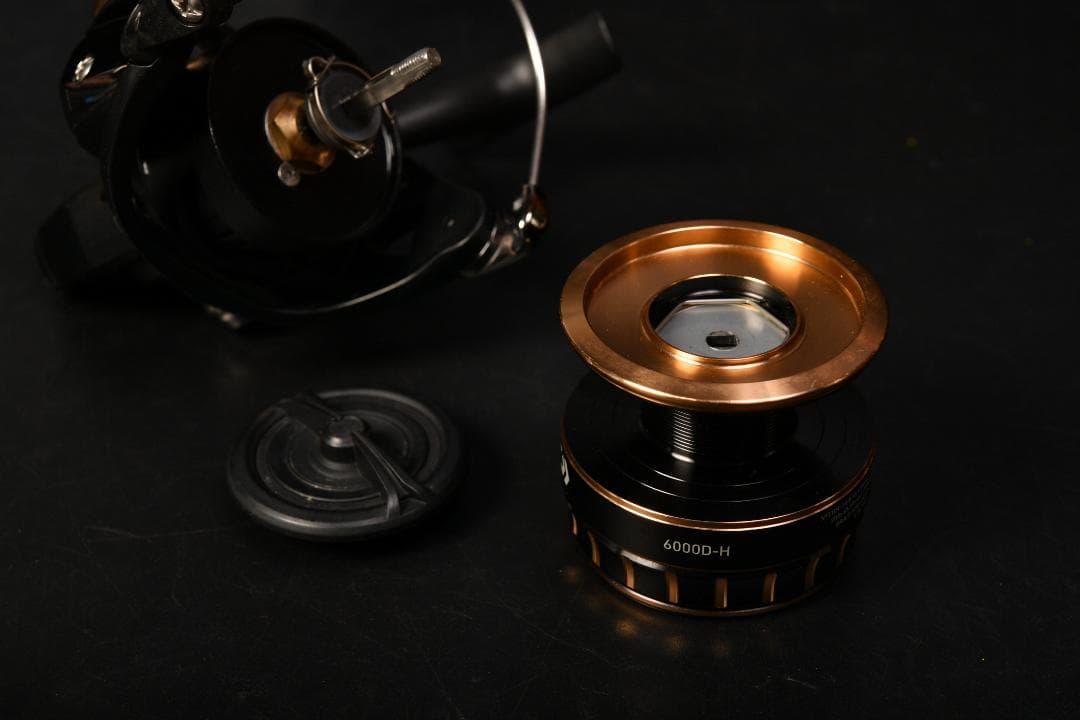 DAIWA 23 BG-SW 6000D-H 海上釣堀のみで使用