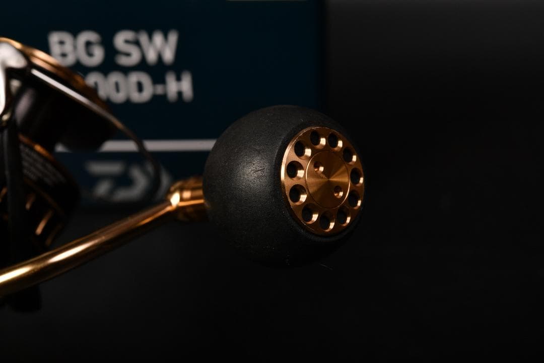 DAIWA 23 BG-SW 6000D-H 海上釣堀のみで使用