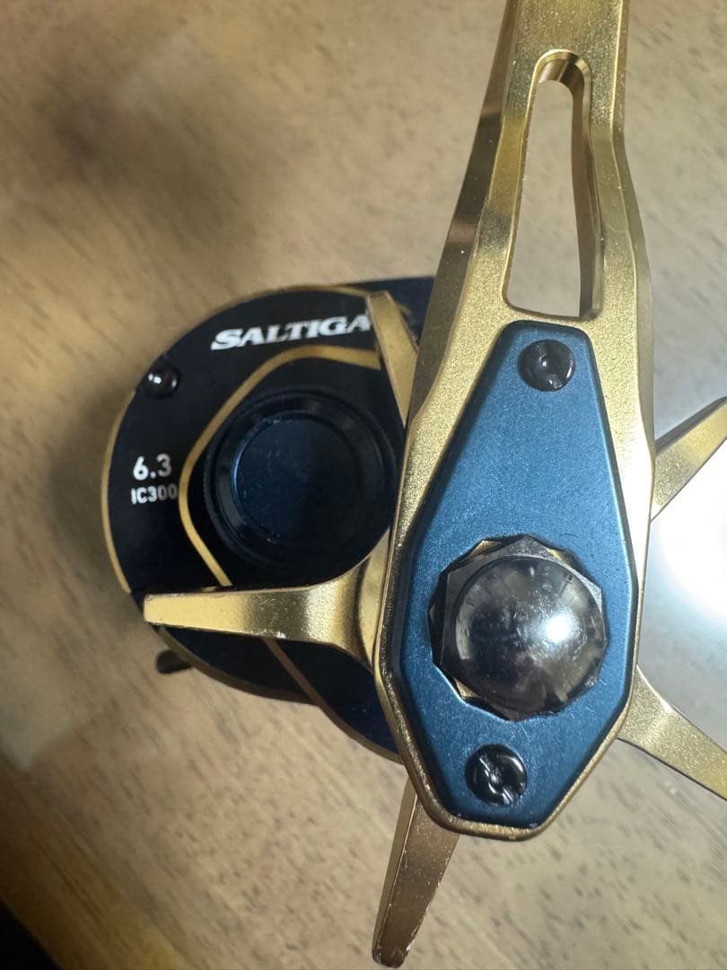 SALTIGA IC 300 ソルティガIC 300