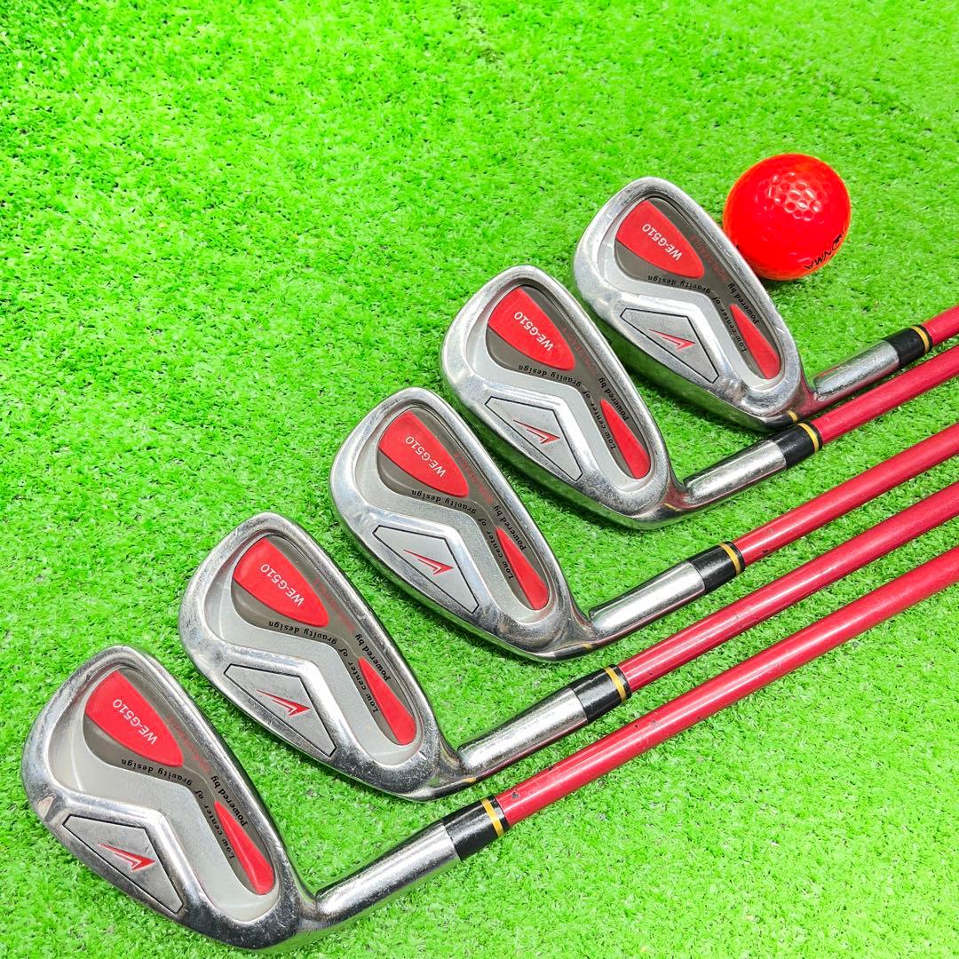 寶TIS-545 ワールドイーグル #5-8.P アイアンセット S レフティ