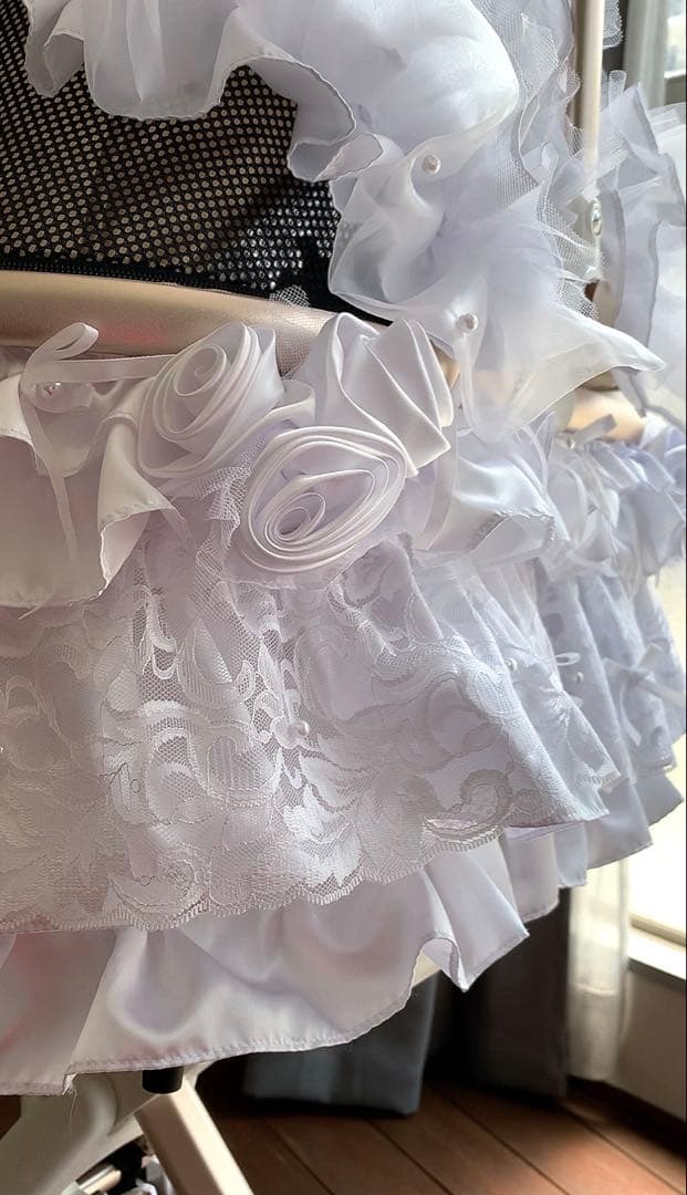 エレガント ドッグカート バギー ペットカート 犬 ヒスクローネ さえら