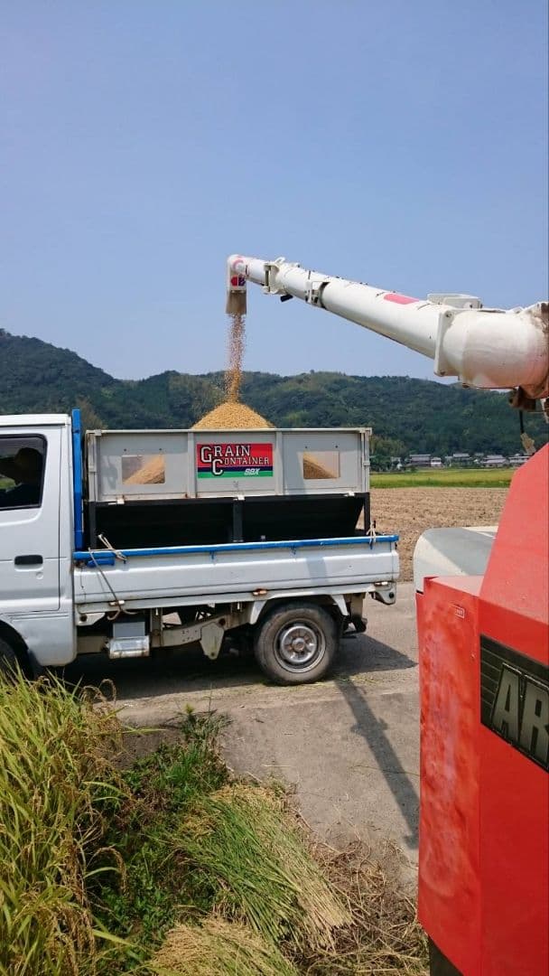 徳島県産 コシヒカリ 20kg　低温貯蔵中　農家直送