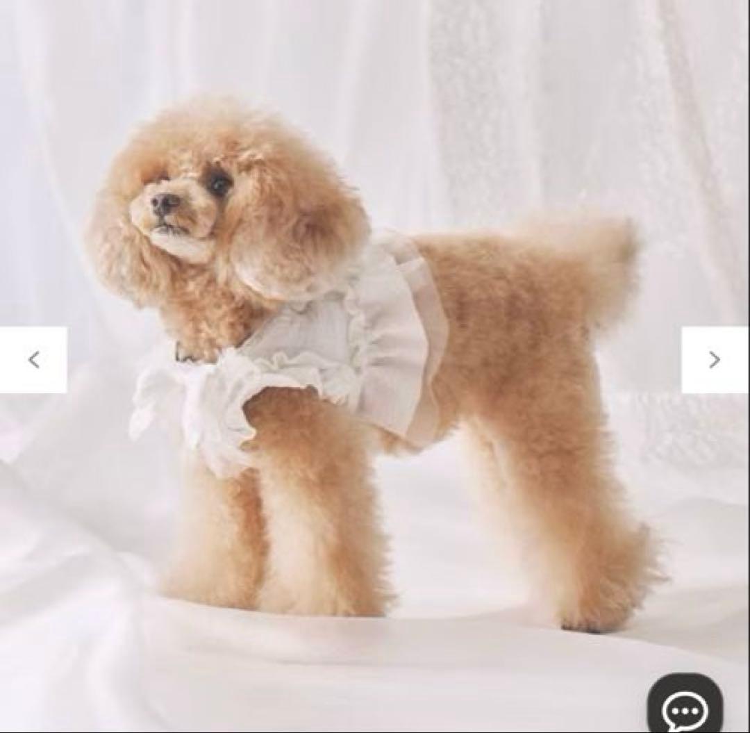 極美品♡フリフリハーネス、フリフリリード