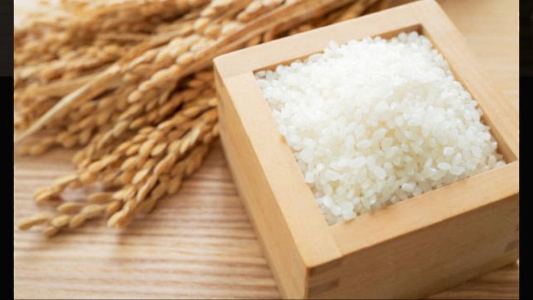 北海道産　ななつぼし　白米　20kg